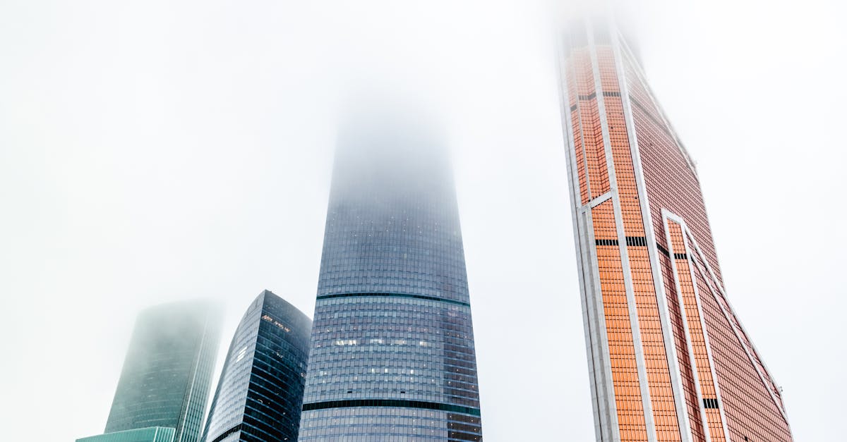 découvrez l'économie bas carbone, un modèle durable visant à réduire les émissions de gaz à effet de serre tout en favorisant la croissance économique. explorez les innovations et les stratégies pour un avenir écoresponsable.