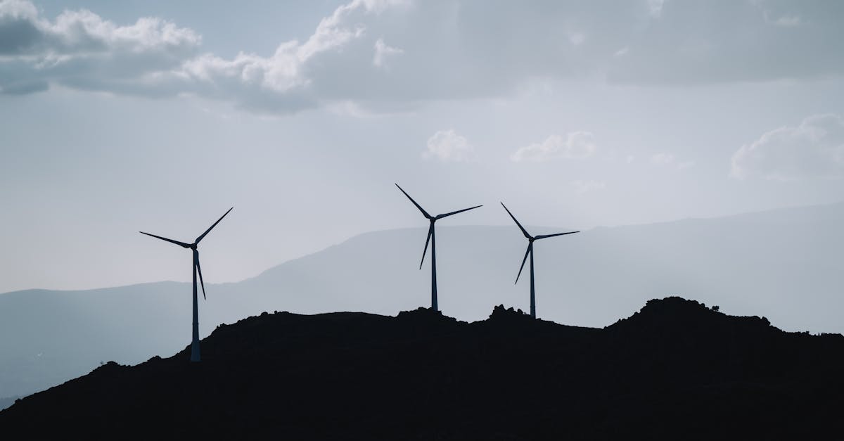 découvrez comment le développement durable favorise une croissance harmonieuse entre l'économie, l'environnement et la société. explorez des pratiques éco-responsables et des initiatives innovantes pour un avenir plus vert.