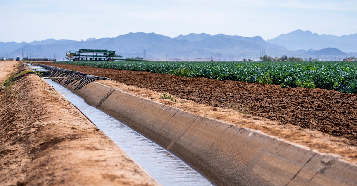 découvrez les meilleures pratiques de gestion durable de l'eau pour préserver nos ressources hydriques. apprenez comment adopter des stratégies innovantes et responsables pour un avenir respectueux de l'environnement.