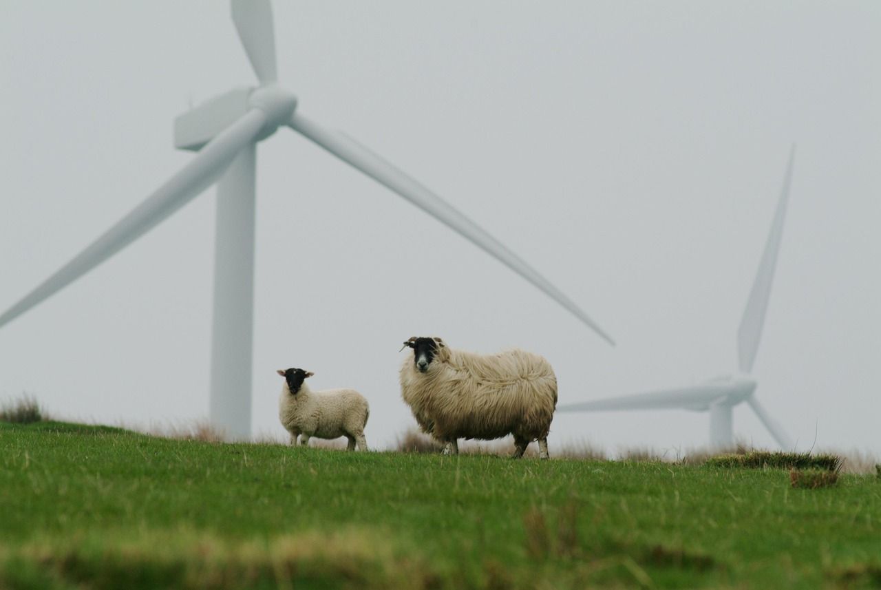 découvrez des conseils et des ressources sur la sustainability : adoptez des pratiques respectueuses de l’environnement, améliorez votre impact écologique et inspirez-vous pour un mode de vie durable au quotidien.