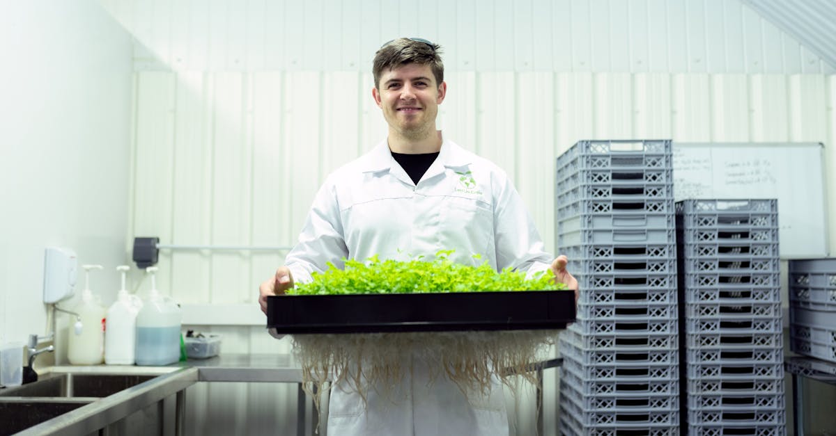 découvrez les principes de l'agriculture durable et comment cette méthode innovante préserve l'environnement tout en garantissant des récoltes abondantes. apprenez les techniques et les pratiques qui favorisent une production alimentaire éthique et respectueuse des ressources naturelles.