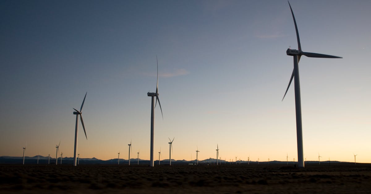 découvrez ce qu'implique la neutralité carbone, ses enjeux et ses solutions pour un avenir durable. apprenez comment réduire les émissions de co2 et contribuer à la lutte contre le changement climatique.
