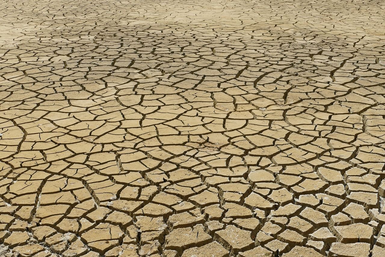 découvrez les enjeux du changement climatique, ses impacts sur notre planète, et les solutions pour atténuer ses effets. engageons-nous ensemble pour un avenir durable et responsable.