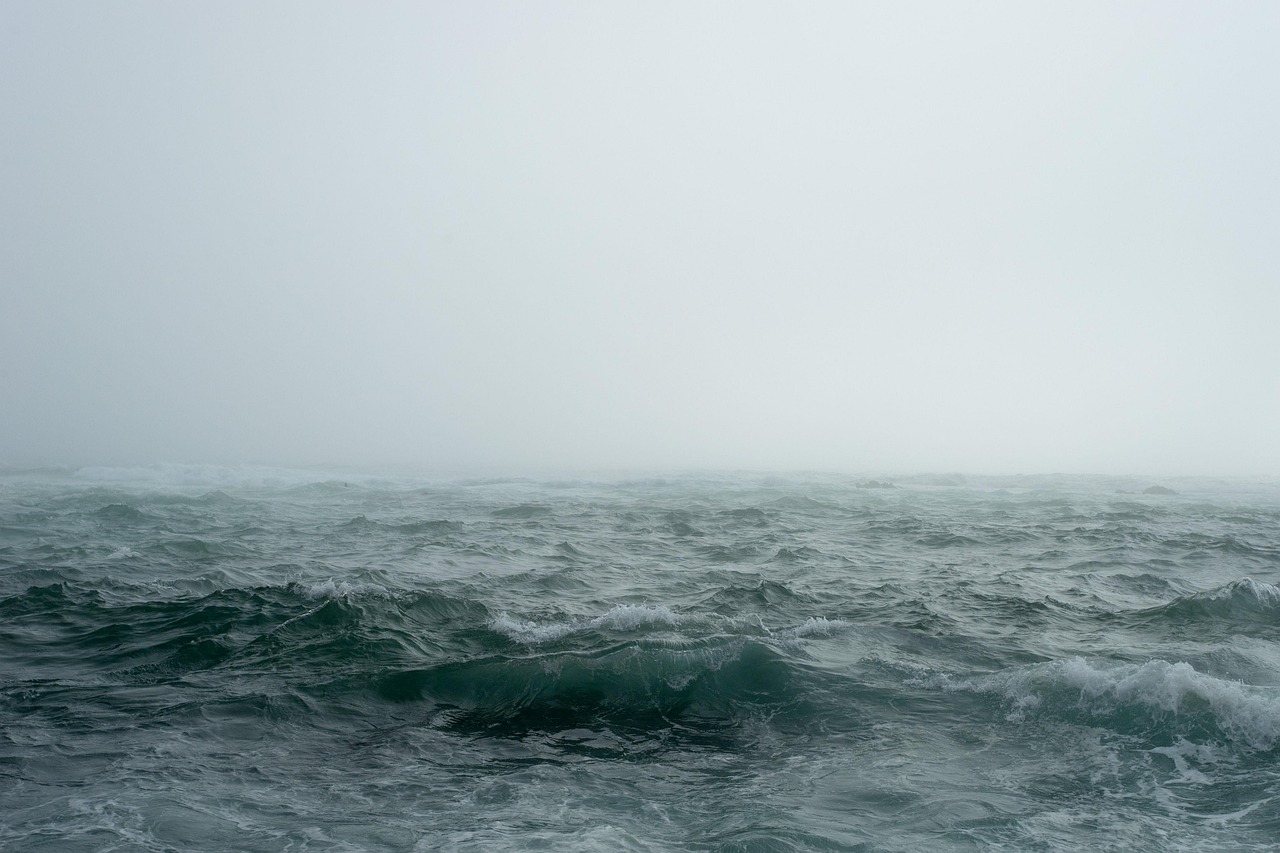 découvrez la beauté infinie de l'océan, un univers fascinant où la nature se déploie en vastes étendues d'eau, abritant une biodiversité unique et offrant des paysages à couper le souffle.
