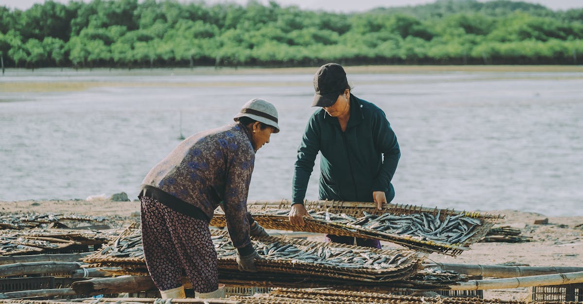 découvrez l'importance et la gestion des ressources naturelles, essentielles à notre environnement et à notre économie. explorez les différents types de ressources, leur conservation et leur impact sur la durabilité de notre planète.