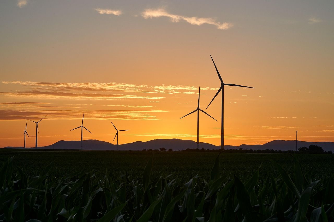 découvrez comment adopter un mode de vie durable et responsable grâce à des conseils pratiques et des solutions innovantes pour préserver l’environnement au quotidien.