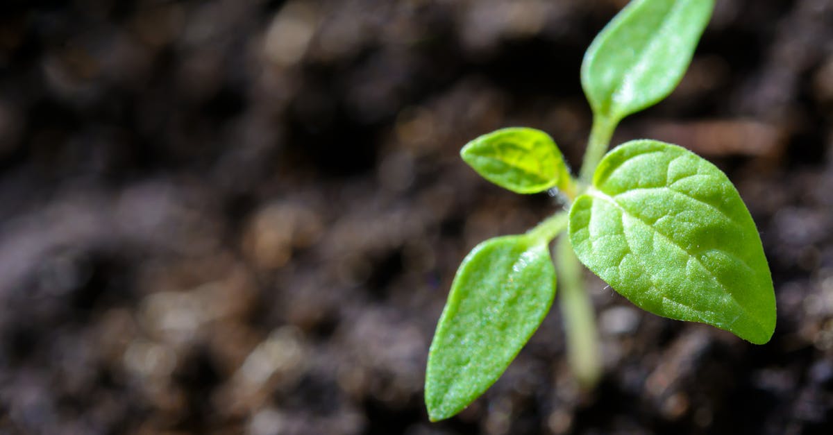 découvrez les enjeux et les pratiques de la durabilité pour un avenir meilleur. apprenez comment adopter un mode de vie écoresponsable et contribuer à la protection de notre planète.