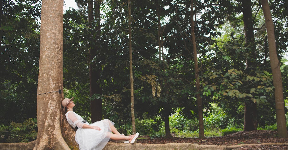 découvrez green axis, votre allié pour un mode de vie durable. explorez nos solutions écologiques et innovantes pour transformer votre quotidien et contribuer à la protection de l'environnement.