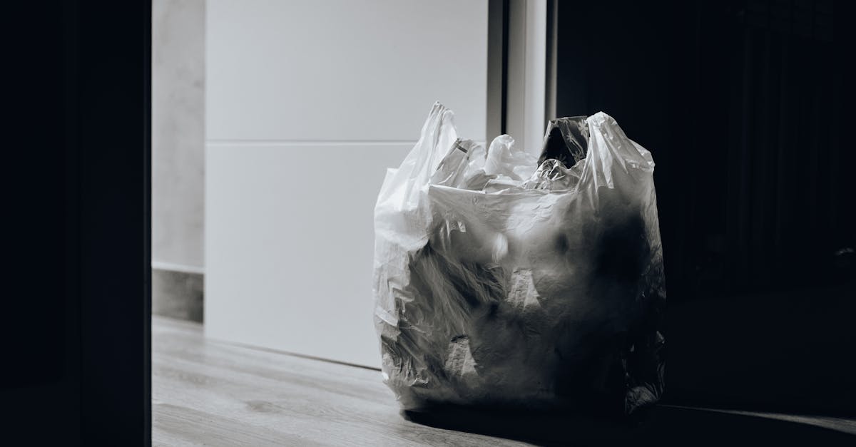 découvrez des stratégies efficaces pour réduire la pollution et protéger notre planète. apprenez comment adopter des habitudes écologiques et soutenir des initiatives durables.