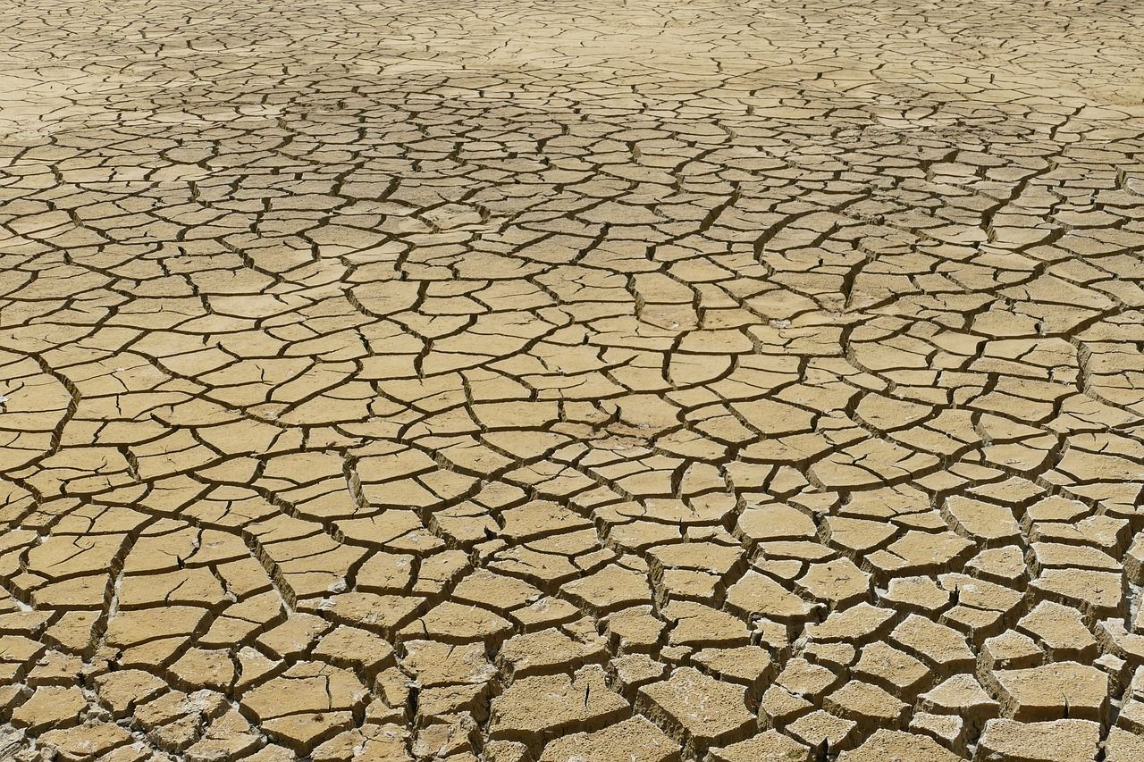 découvrez les enjeux du changement climatique, ses impacts sur notre planète et des solutions durables pour un avenir meilleur. informez-vous sur les initiatives mondiales et les actions individuelles pour lutter contre le réchauffement climatique.