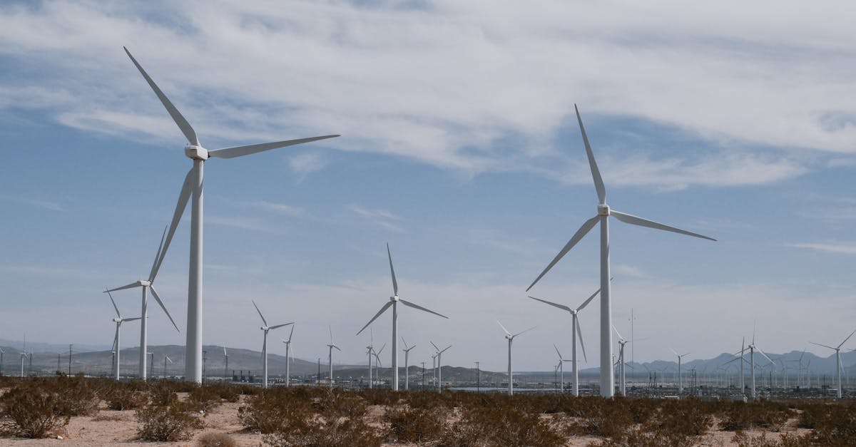 découvrez les principes du développement durable, une approche qui vise à concilier croissance économique, protection de l'environnement et équité sociale. explorez des stratégies innovantes pour bâtir un avenir durable et responsable, au service des générations présentes et futures.