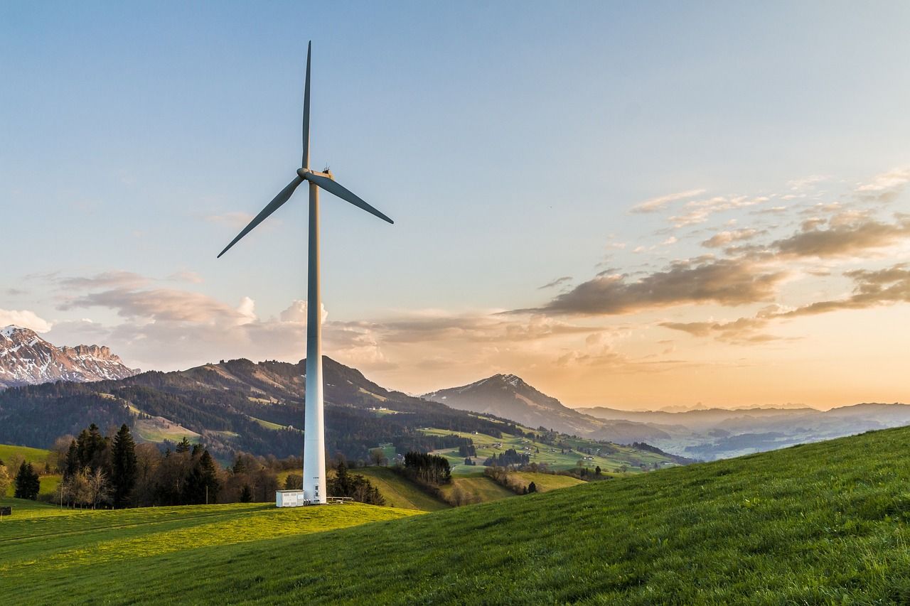 découvrez tout sur la transition écologique : enjeux, solutions et innovations pour un avenir durable. informez-vous sur les actions à adopter afin de réduire notre impact environnemental et favoriser un développement responsable.
