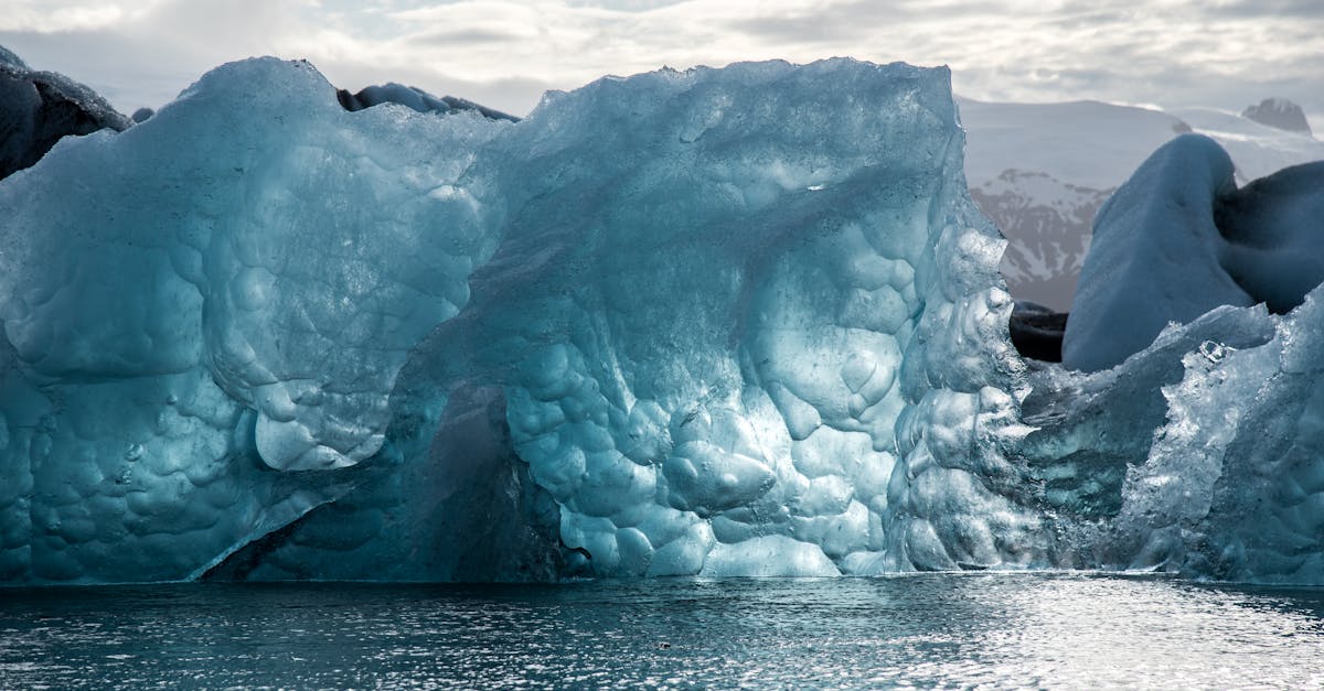 découvrez les enjeux du changement climatique, ses impacts sur notre planète et les solutions possibles pour y faire face. engagez-vous pour un avenir durable et conscient des défis environnementaux.