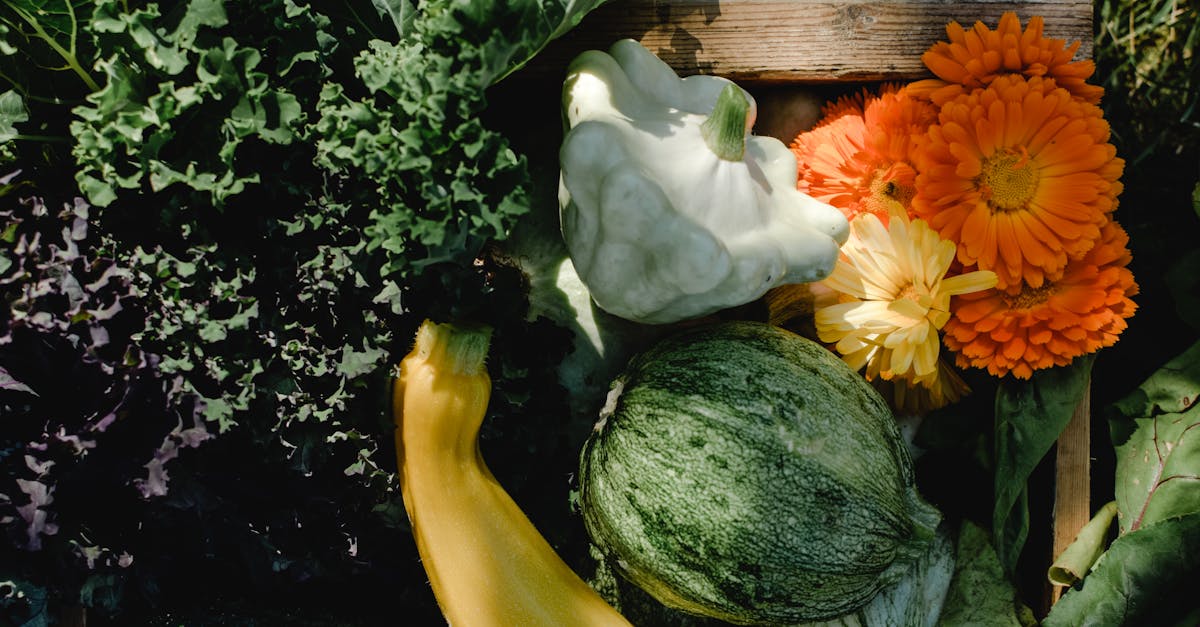 découvrez les pratiques de l'agriculture durable qui préservent l'environnement tout en garantissant une production alimentaire responsable et respectueuse des ressources. explorez des méthodes innovantes et éthiques pour nourrir notre planète.