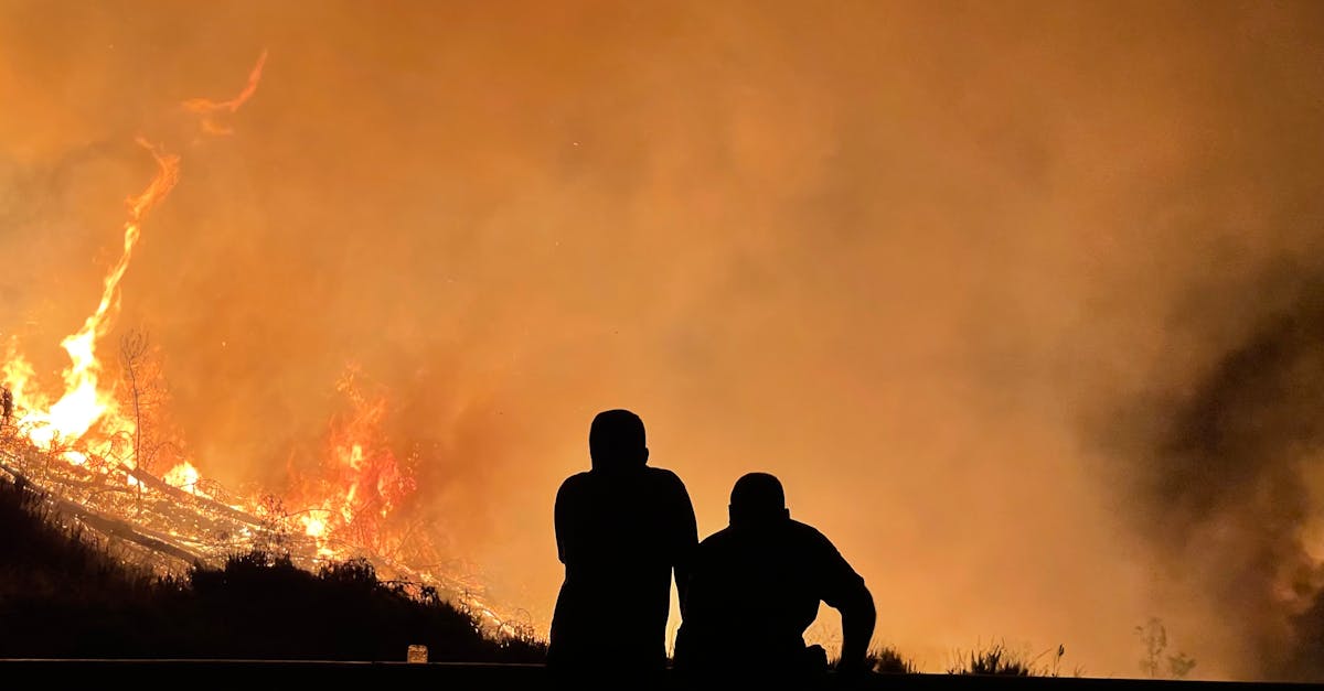 découvrez les enjeux des risques climatiques et leur impact sur notre planète. apprenez comment les changements climatiques affectent l'environnement, l'économie et notre quotidien. ensemble, explorons des solutions durables pour un avenir plus sûr.