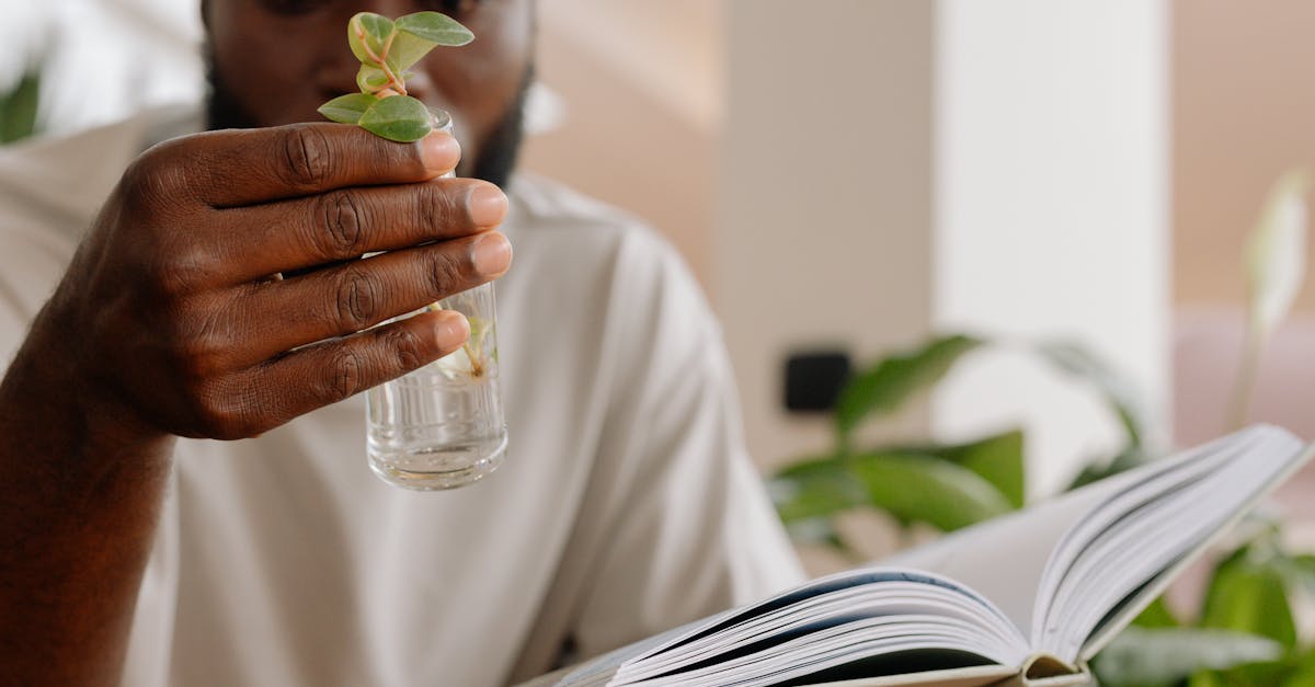 découvrez l'importance des connaissances écologiques pour une planète durable. apprenez comment ces savoirs peuvent influencer nos choix, protéger la biodiversité et lutter contre le changement climatique. explorez des ressources et des pratiques pour un avenir respectueux de l'environnement.