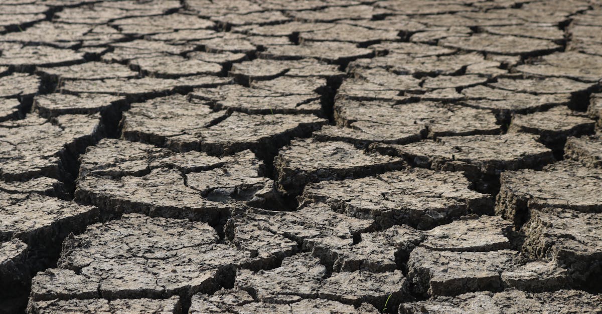 découvrez les enjeux des risques climatiques et leur impact sur notre environnement et nos sociétés. apprenez comment anticiper et atténuer ces dangers pour bâtir un avenir durable.