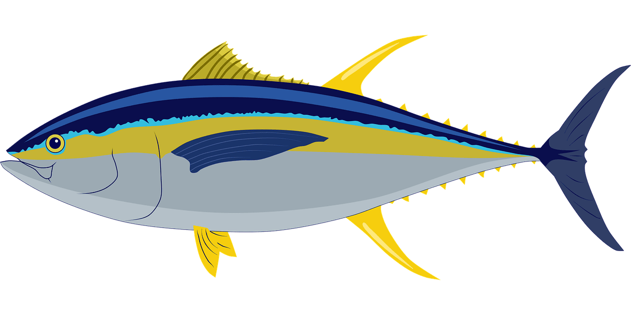 découvrez la beauté fascinante des océans, leurs écosystèmes riches et la vie marine qui les habite. plongez dans un monde sous-marin incroyable et protégez nos mers.