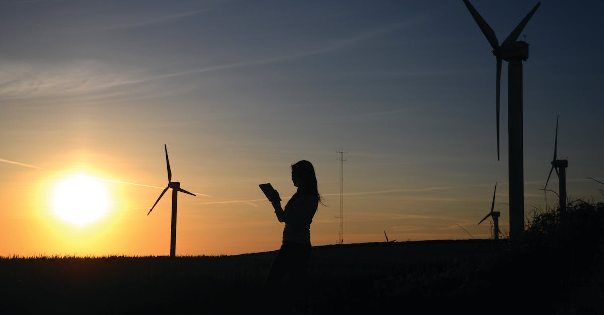 découvrez les principes de la durabilité et apprenez comment intégrer des pratiques écoresponsables dans votre quotidien pour préserver notre planète pour les générations futures.