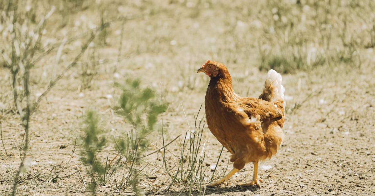 découvrez comment l'impact environnemental influence notre planète, les écosystèmes et la santé humaine. apprenez des solutions durables pour réduire notre empreinte écologique et préserver notre environnement pour les générations futures.