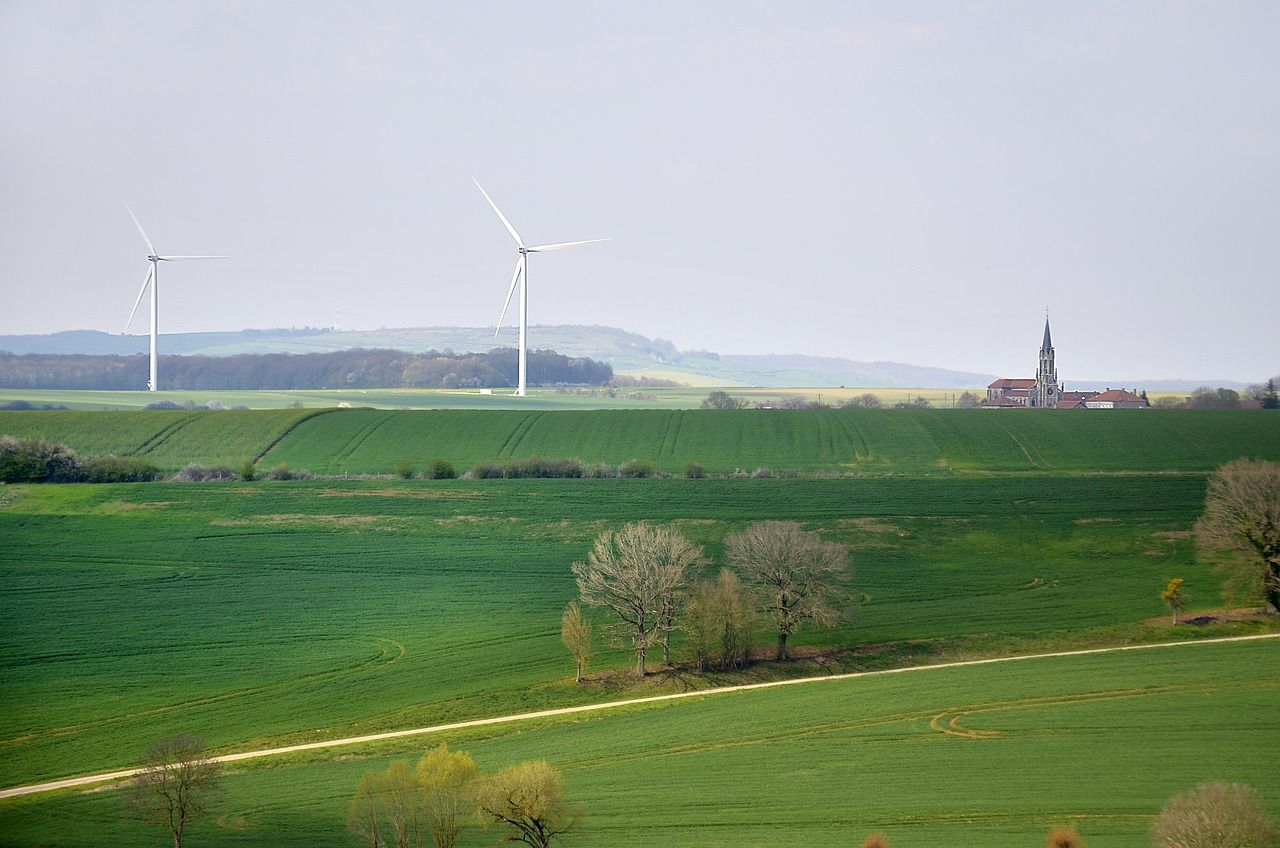 découvrez les principes clés du développement durable, alliant croissance économique, protection de l'environnement et équité sociale pour un avenir responsable et durable.