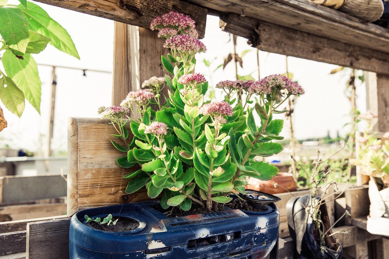découvrez des stratégies et conseils pour adopter une consommation durable, réduire votre impact environnemental et promouvoir un mode de vie éco-responsable.