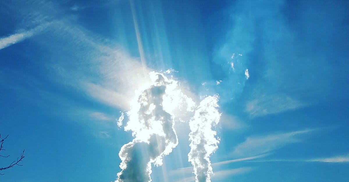 découvrez les causes, les conséquences et les solutions face à la pollution. informez-vous sur les différents types de pollution, leur impact sur l'environnement et la santé humaine, ainsi que les actions à entreprendre pour un avenir plus sain.