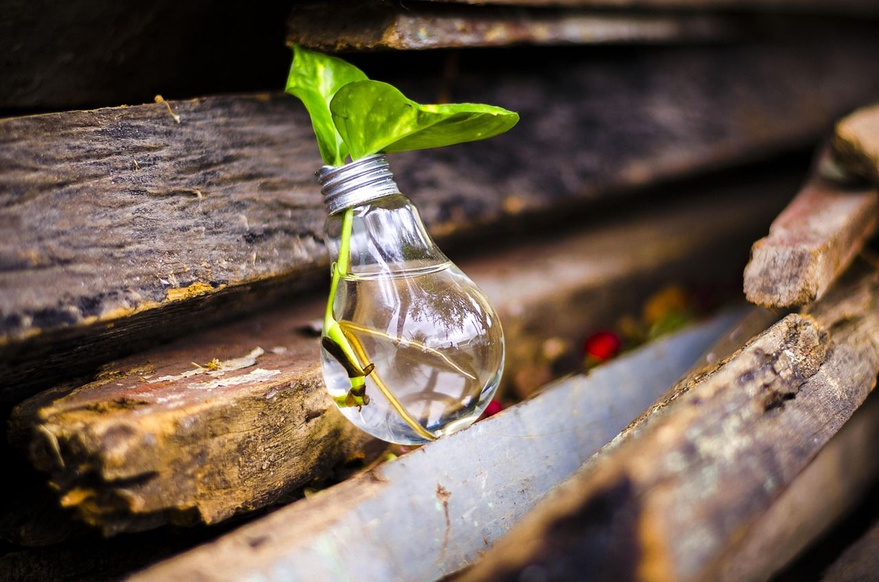 découvrez l'upcycling : transformer vos déchets en objets uniques et durables pour réduire votre impact environnemental tout en exprimant votre créativité.