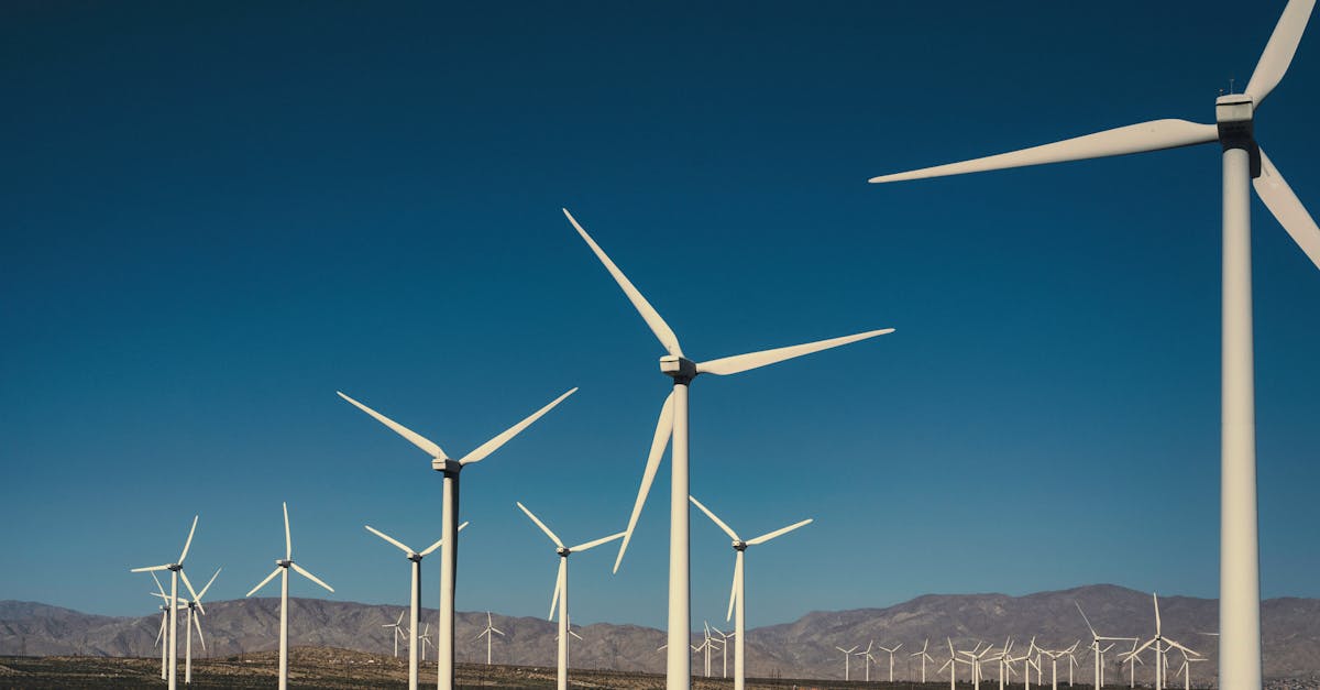 découvrez comment la transition vers une énergie durable façonne notre avenir. explorez les solutions innovantes, l'importance des énergies renouvelables et les stratégies pour réduire notre empreinte carbone tout en construisant un monde plus vert.