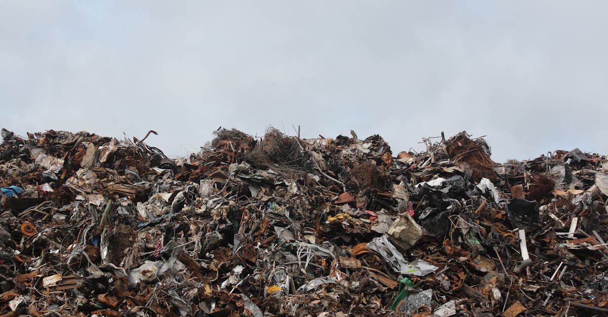 découvrez l'impact environnemental des activités humaines sur notre planète. apprenez comment réduire votre empreinte écologique et promouvoir un développement durable pour préserver la biodiversité et lutter contre le changement climatique.