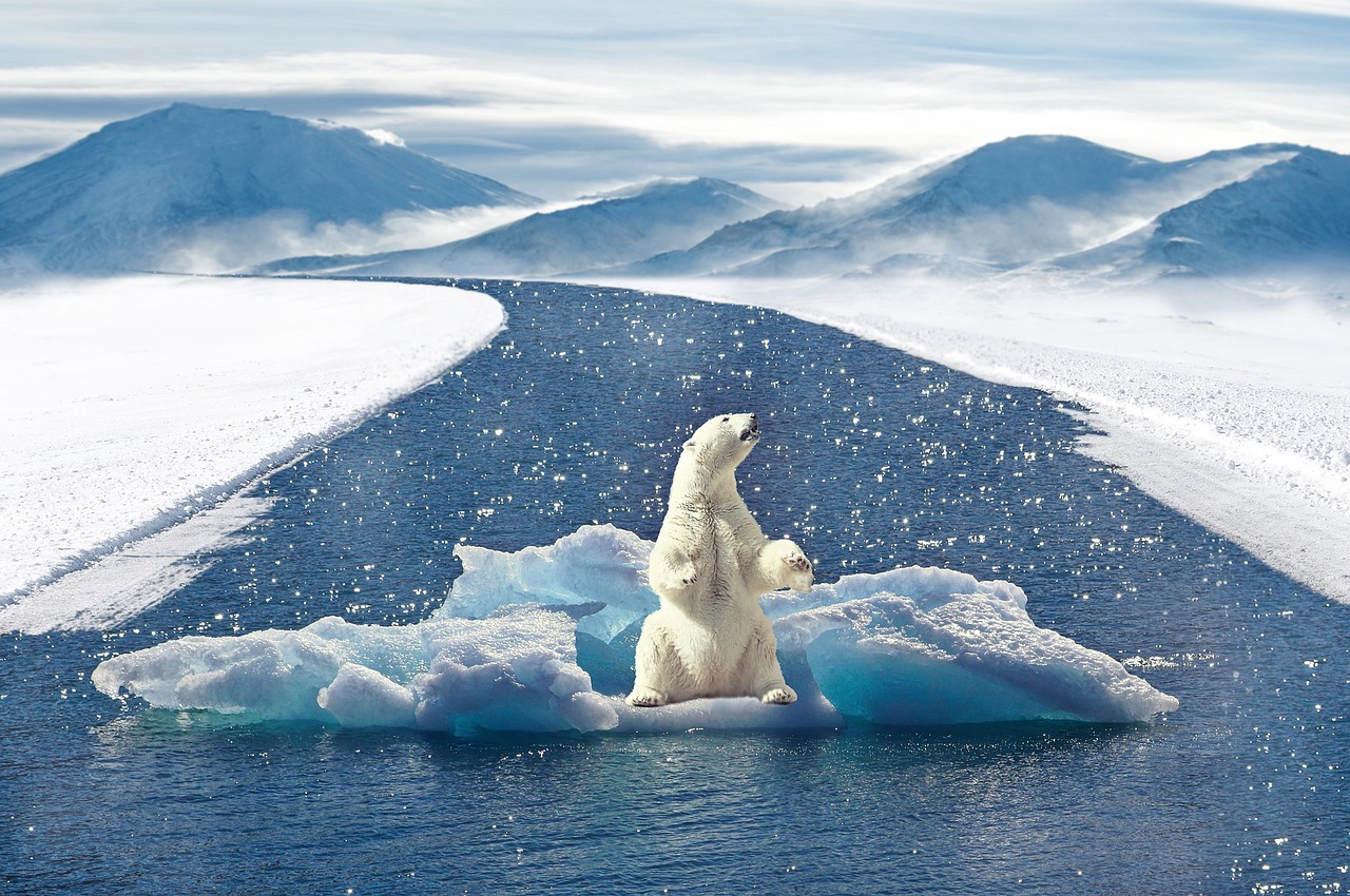 découvrez les dernières informations, enjeux et solutions autour du climat, des changements climatiques et de l’impact environnemental. restez informé sur les actions pour protéger notre planète.