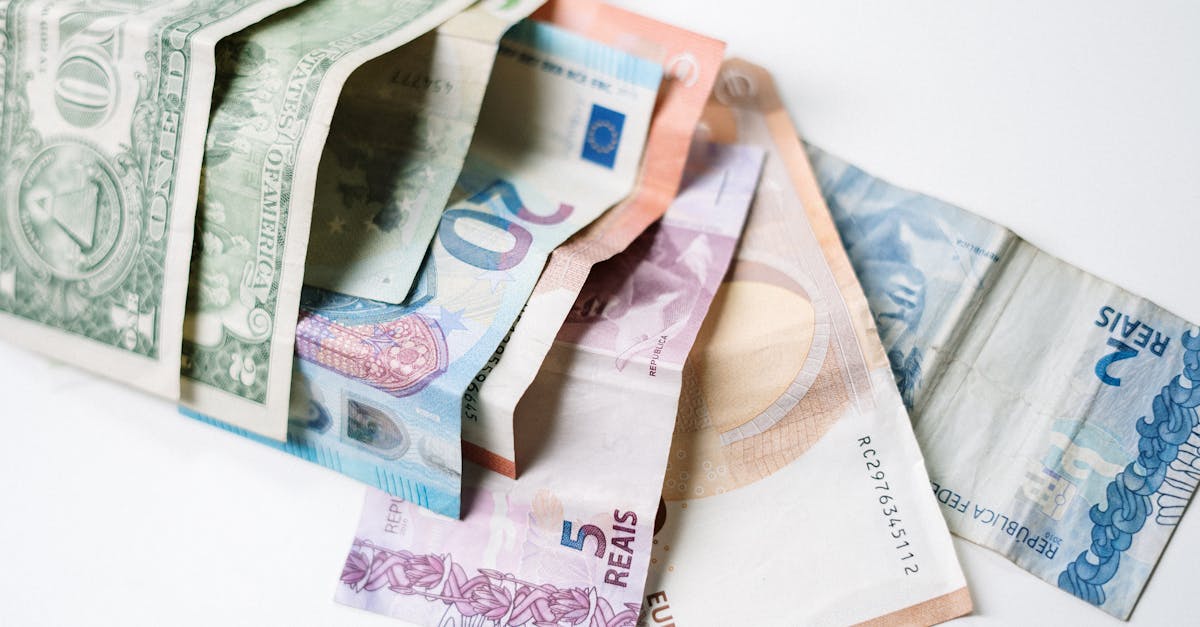 découvrez le financement vert, une approche innovante pour soutenir des projets durables et respectueux de l'environnement. apprenez comment les investissements responsables peuvent favoriser une transition écologique tout en offrant des opportunités économiques.