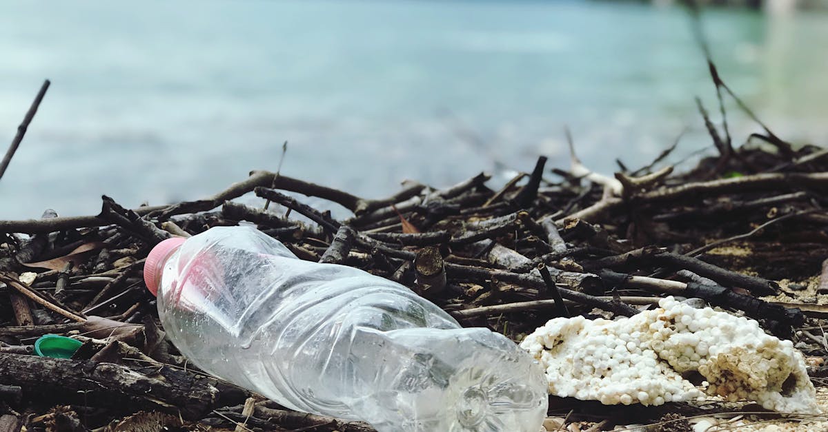 découvrez les enjeux de la pollution, ses impacts sur l'environnement et la santé, ainsi que les solutions pour réduire notre empreinte écologique. informez-vous sur les différents types de pollution et les actions à mener pour un avenir plus sain.