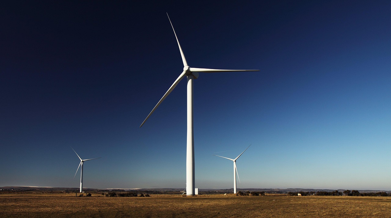 découvrez des alternatives durables pour un mode de vie respectueux de l'environnement et contribuez à la préservation de la planète.