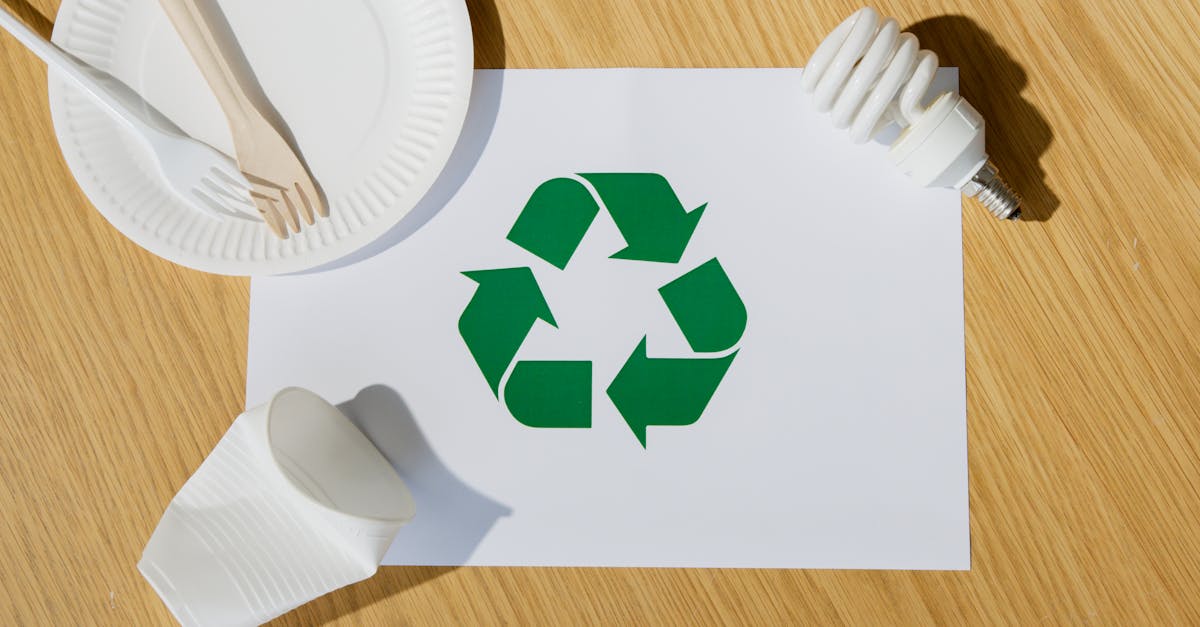 découvrez les ressources renouvelables, une solution durable pour un avenir écologique. apprenez comment l'énergie solaire, éolienne et hydraulique peuvent transformer notre mode de vie tout en préservant l'environnement.