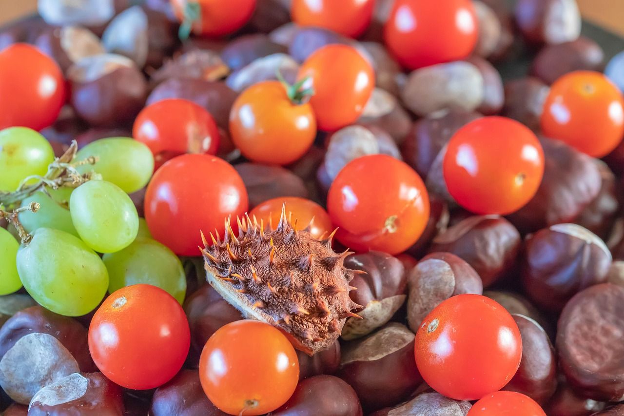 découvrez nos produits locaux de saison, frais et de qualité, directement issus des producteurs de votre région pour une consommation responsable et savoureuse.