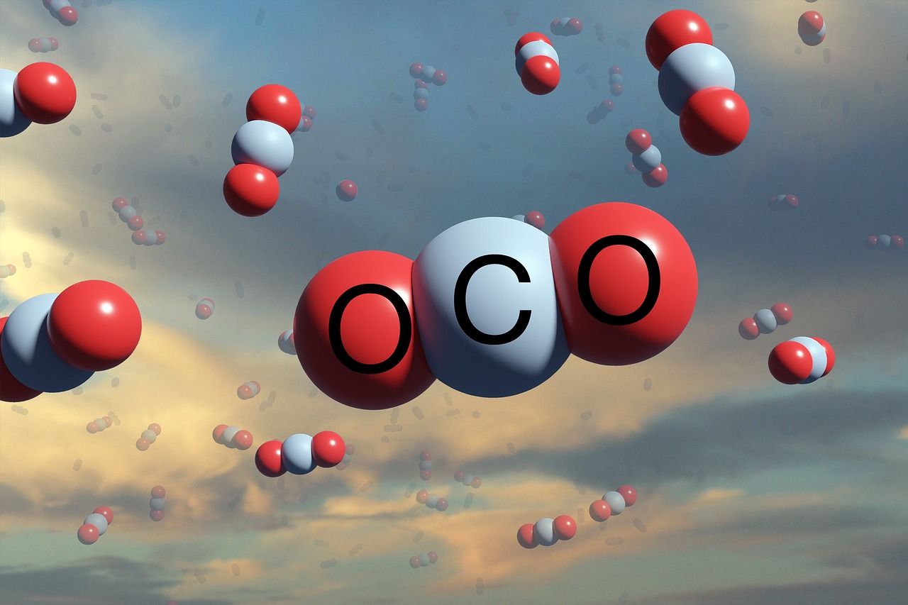 découvrez l'empreinte carbone : une mesure essentielle de l'impact environnemental de nos activités. apprenez comment réduire votre empreinte pour contribuer à un avenir durable et protéger notre planète.