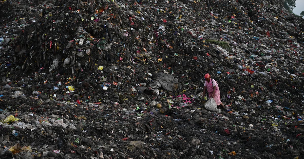 découvrez des solutions innovantes et durables pour la gestion des déchets. apprenez comment optimiser le recyclage, réduire les déchets et promouvoir une économie circulaire bénéfique pour l'environnement.