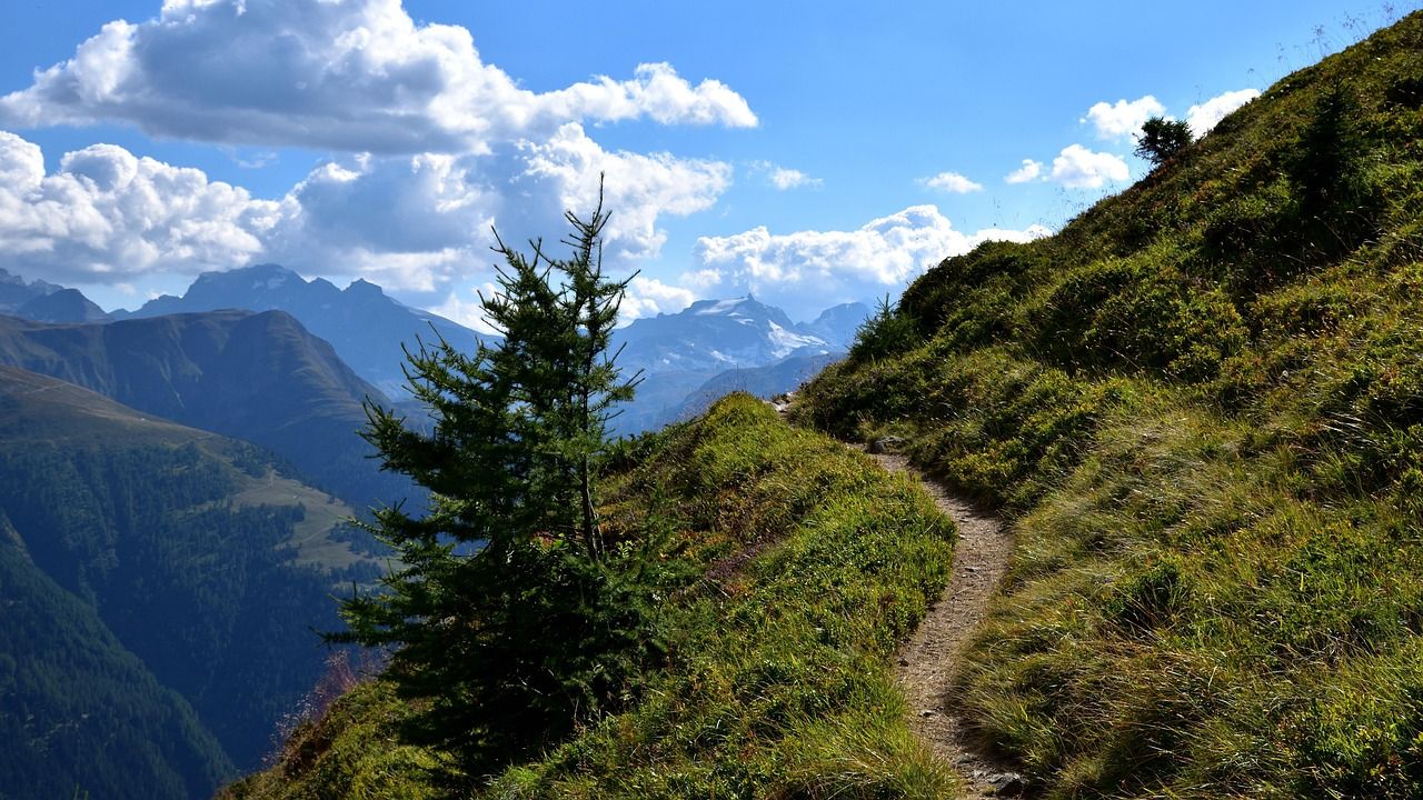 découvrez l'univers du trail, un sport de course en pleine nature qui allie aventure et endurance. explorez des sentiers magnifiques et relevez des défis passionnants tout en vous reconnectant avec la nature.