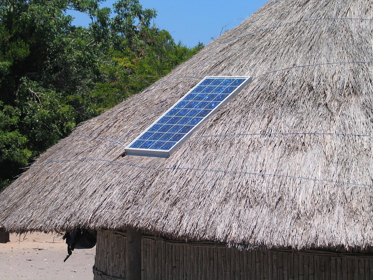 découvrez des alternatives durables pour un mode de vie respectueux de l'environnement et contribuez à la préservation de la planète.