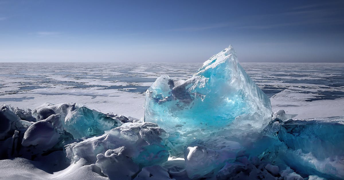 découvrez l'impact du changement climatique sur notre planète, les causes sous-jacentes et les solutions possibles pour un avenir durable. engagez-vous dans la lutte contre le réchauffement climatique et apprenez comment chaque geste compte.