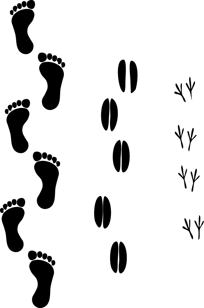 découvrez comment réduire votre empreinte carbone et contribuer à un avenir durable. apprenez des astuces pratiques et des stratégies pour minimiser votre impact sur l'environnement et adopter un mode de vie plus éco-responsable.