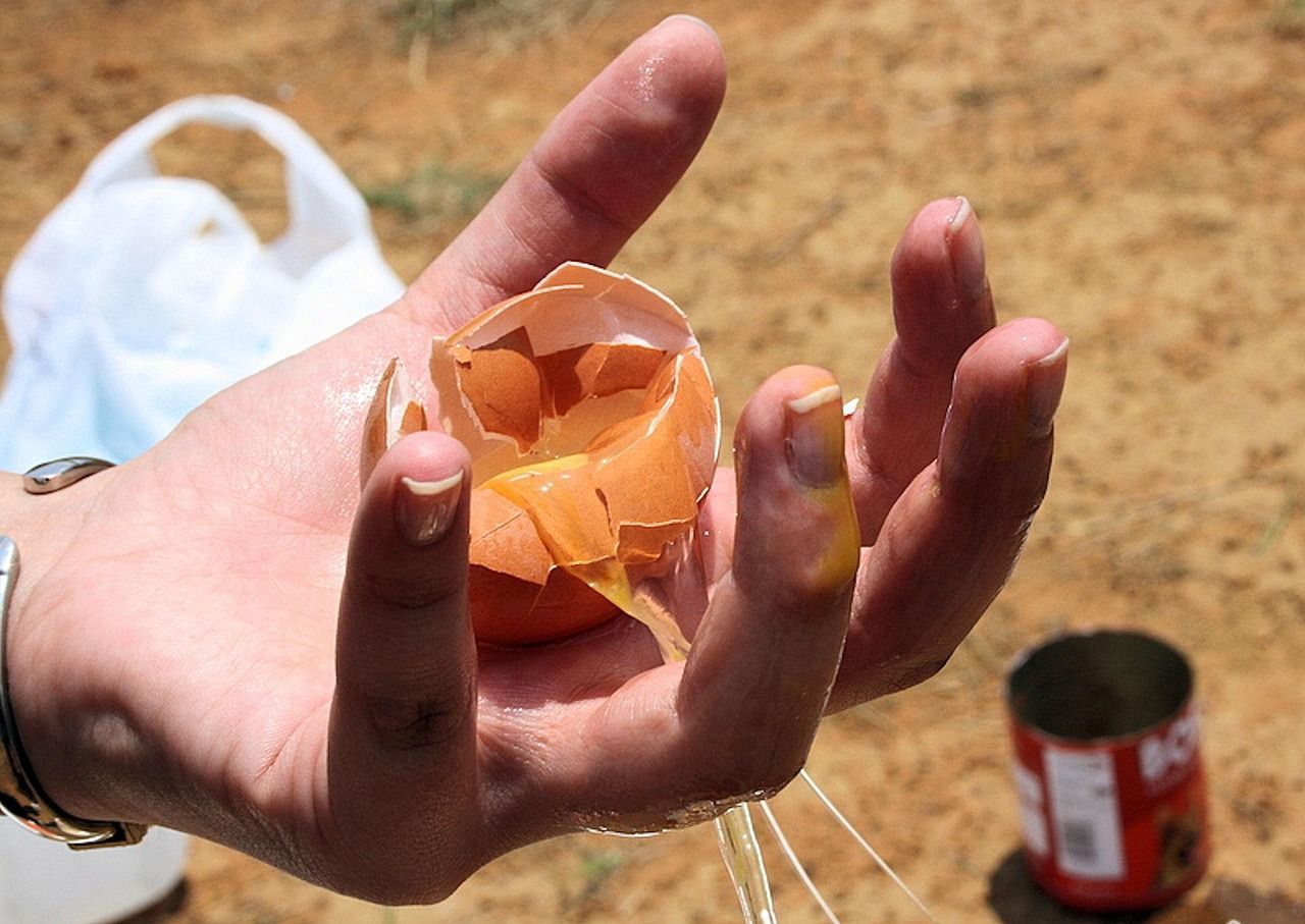 découvrez des conseils pratiques et des solutions innovantes pour réduire le gaspillage alimentaire et adopter une consommation responsable.