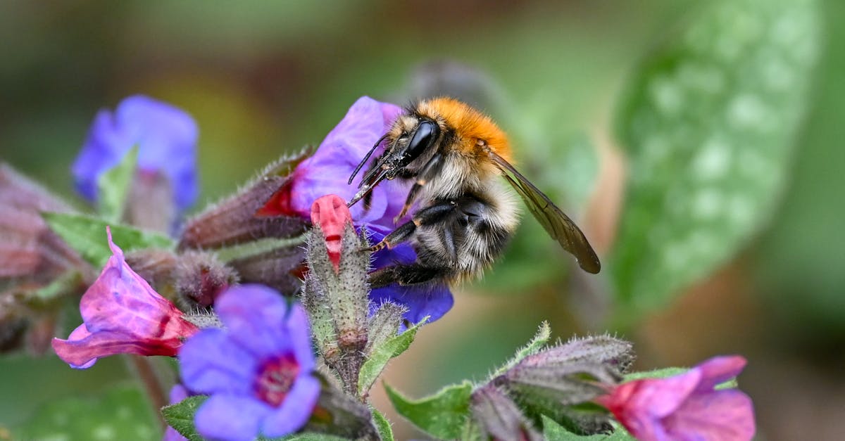 découvrez l'écosystème, un réseau complexe d'interactions entre les organismes vivants et leur environnement. apprenez comment cet équilibre naturel influence la biodiversité, la santé des habitats, et notre survie. explorez les enjeux écologiques actuels et découvrez les solutions pour préserver notre planète.