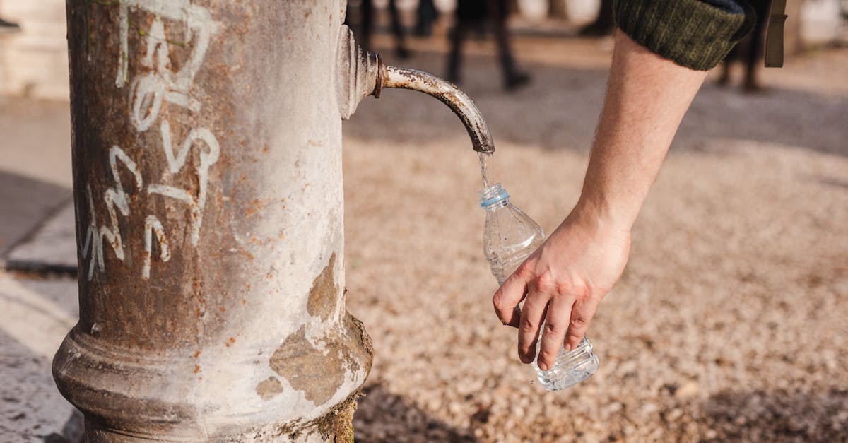 découvrez l'importance de la conservation des ressources naturelles pour un avenir durable. apprenez des stratégies efficaces pour préserver l'eau, l'énergie et la biodiversité, et agissez pour protéger notre planète.