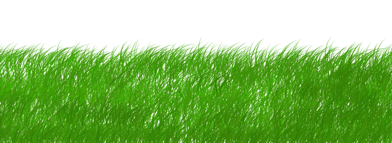 découvrez comment la durabilité façonne l’avenir en adoptant des pratiques respectueuses de l’environnement, des solutions innovantes et des modes de vie responsables pour préserver notre planète.