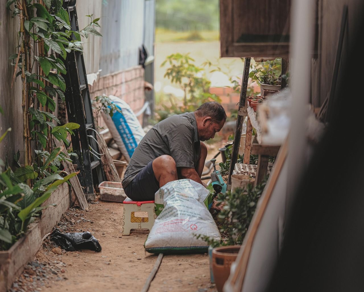 découvrez comment créer un jardin de permaculture urbaine pour cultiver durablement en ville, optimiser l'espace et favoriser la biodiversité locale.