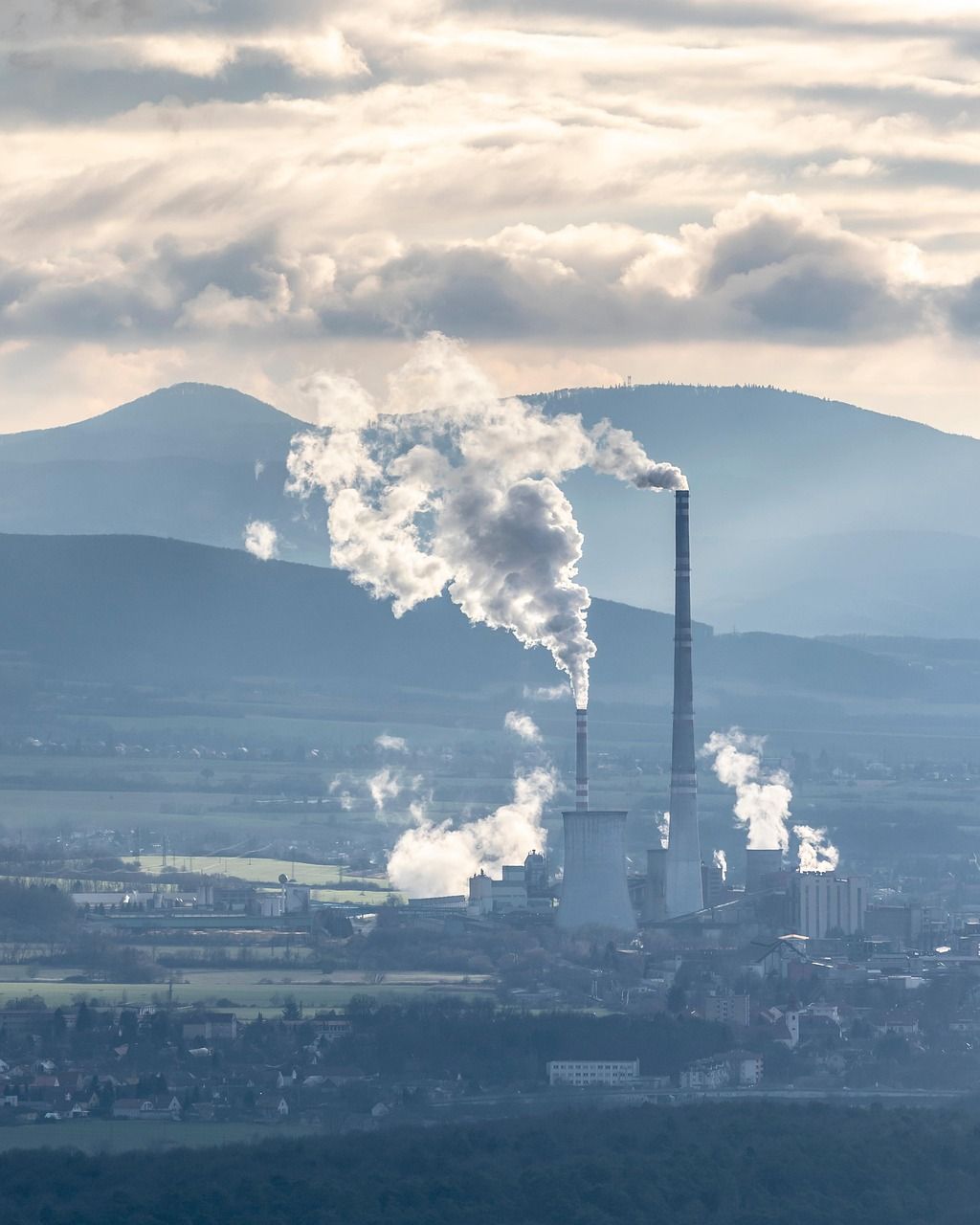 découvrez notre guide complet sur l'évaluation du carbone, une méthode essentielle pour mesurer, comprendre et réduire votre empreinte carbone. apprenez les meilleures pratiques et les outils nécessaires pour mener à bien votre analyse d'impact environnemental.