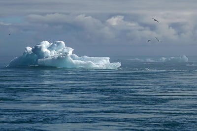 Adaptation au changement climatique : les tourbières agricoles des monts d’Arrée, un site pilote au centre du projet européen