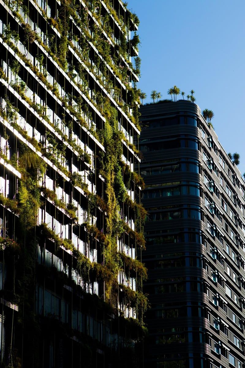 Potager urbain permaculture : guide complet pour cultiver en ville de façon durable
